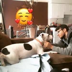 Meet your Posher, Verona